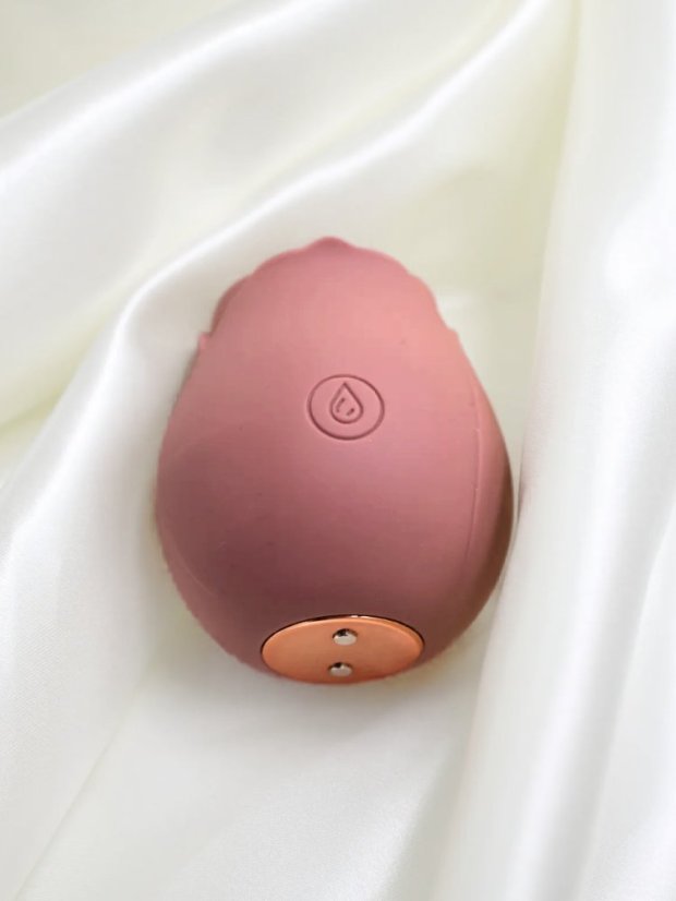 Sací stimulátor klitorisu Style Vibes Růženka - Barva: Rose