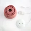 Stimuláror klitorisu ART Růženka - Barva: Růžová